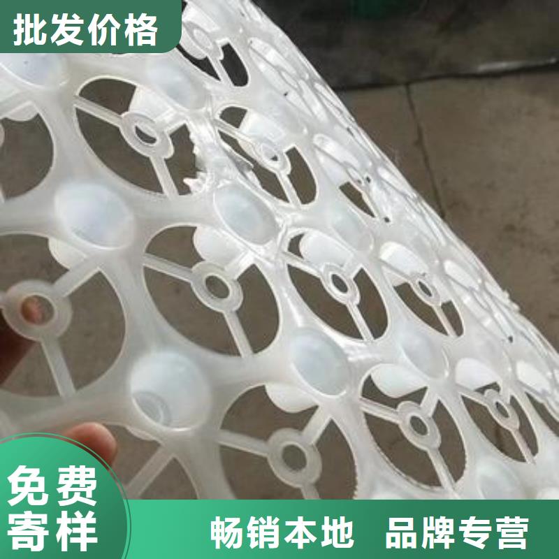 供應(yīng)批發(fā)排水板系列廠家定制零售批發(fā)