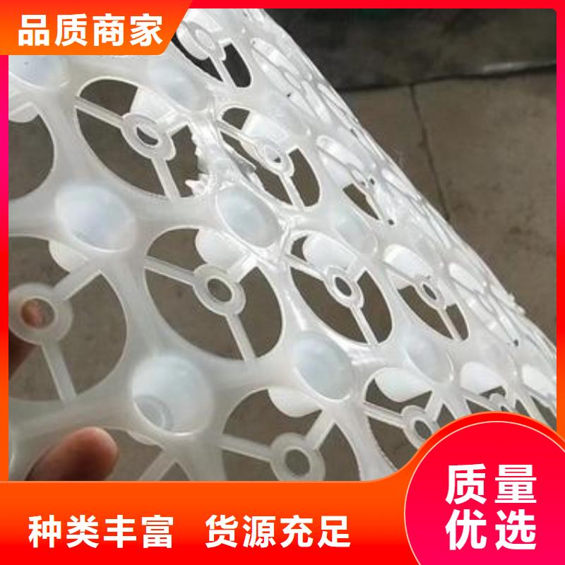 生產排水板系列_優質廠家