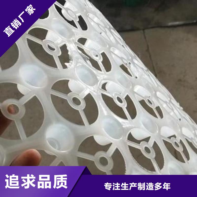 供應批發排水板系列廠家