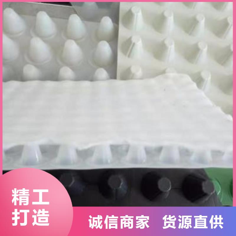 排水板系列廠家發貨及時