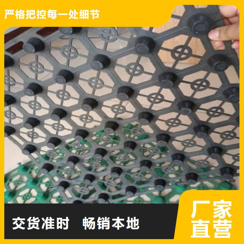 诚信经营排水板系列厂家