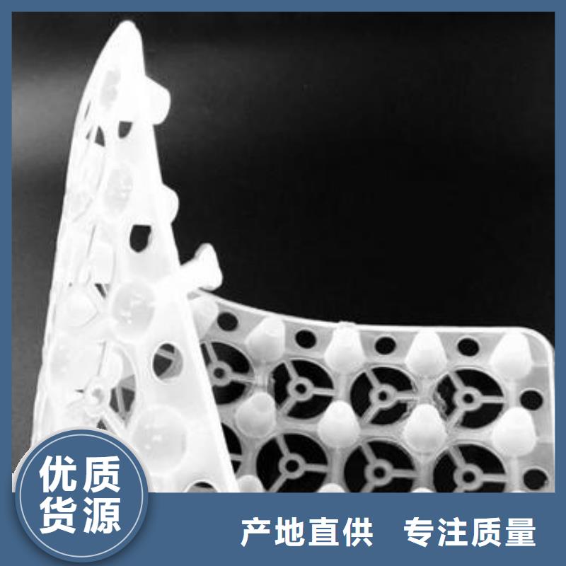 ：排水板系列生產廠家
