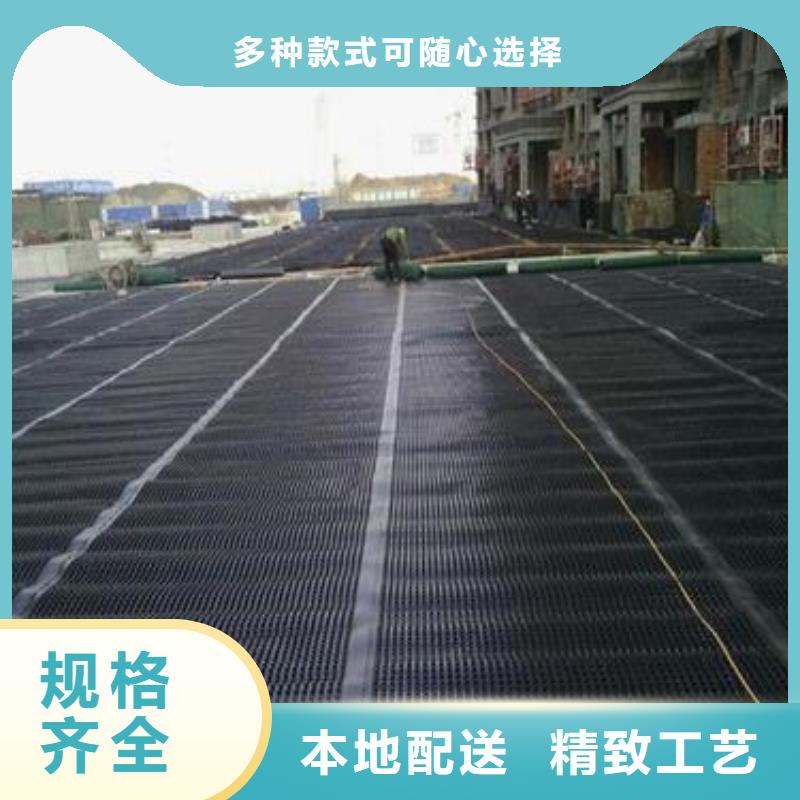 供應批發排水板系列廠家