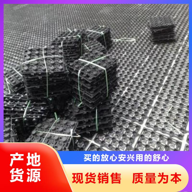 发货及时的排水板系列基地现货供应