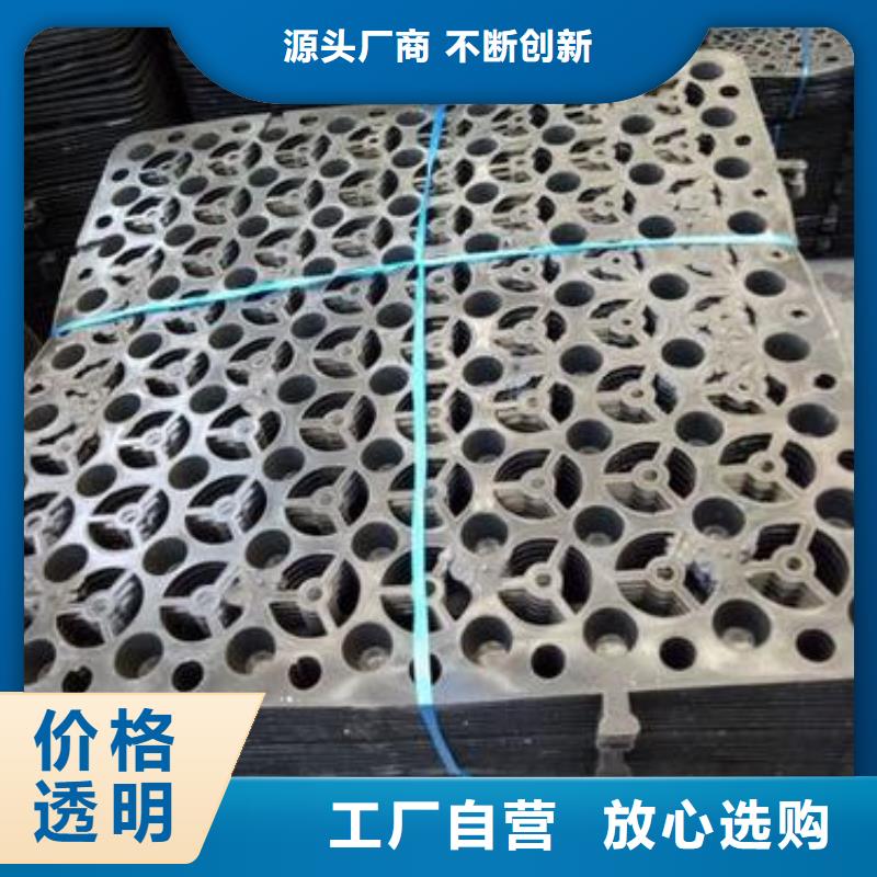 生产排水板系列_品牌厂家丰富的行业经验