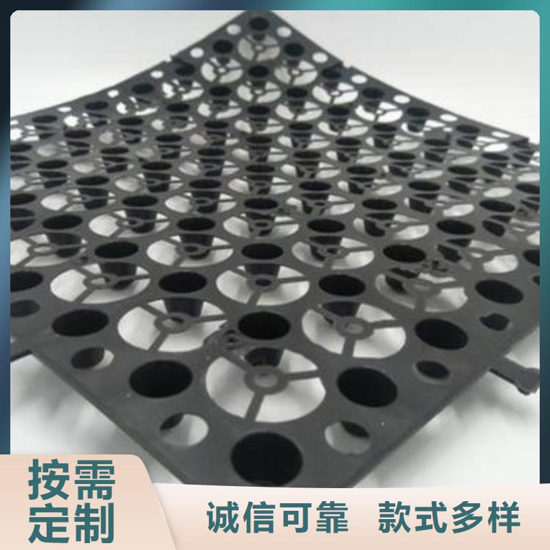 排水板系列大規(guī)模廠家