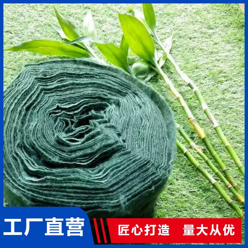 口碑好的裹树布销售厂家