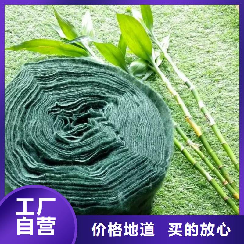 裹樹布廠家現(xiàn)貨銷售