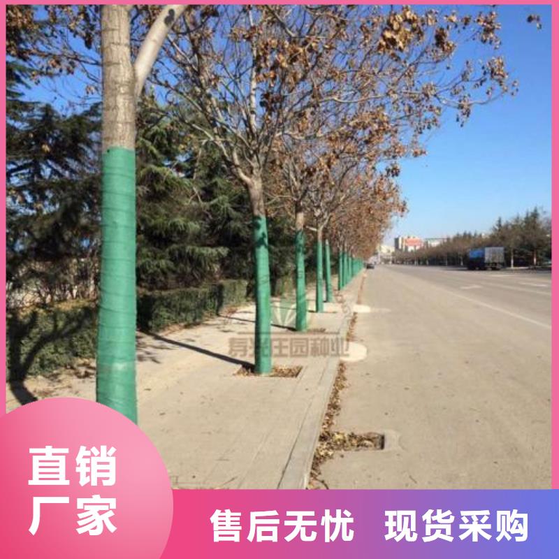 裹樹布批發(fā)零售定制零售批發(fā)