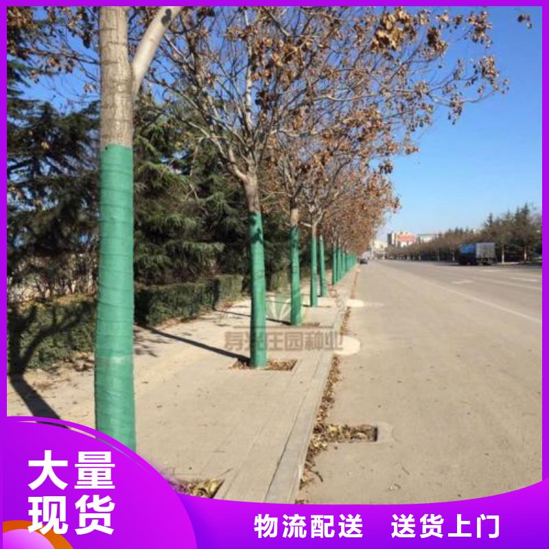 裹树布价格合理的厂家