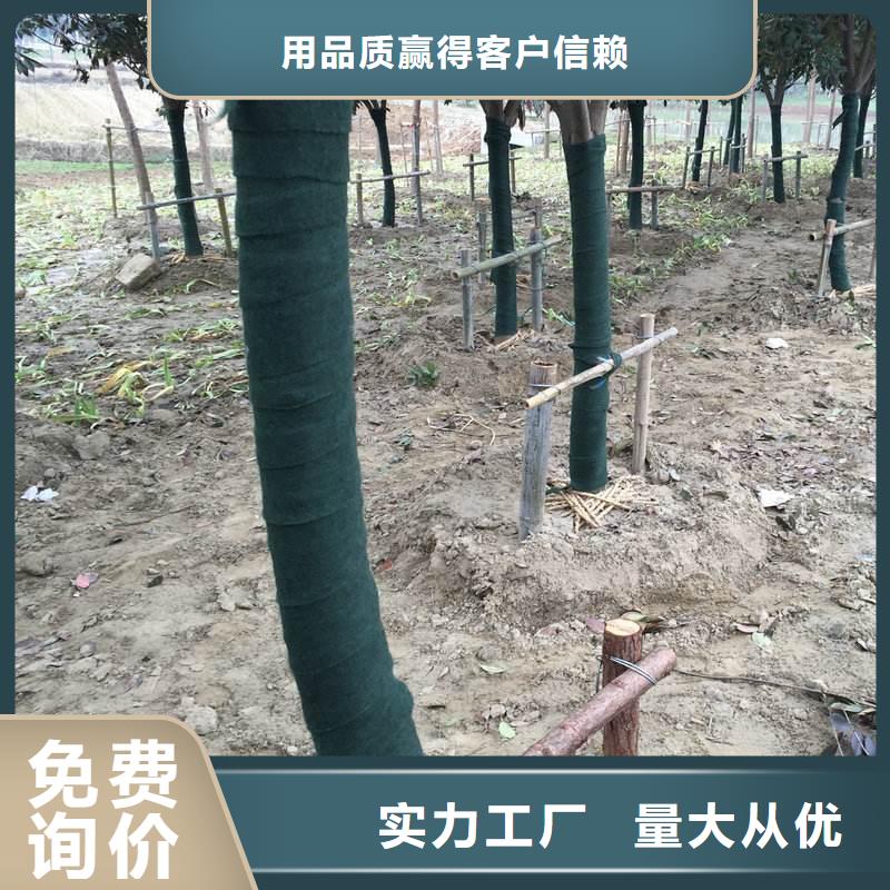 靠谱的裹树布基地