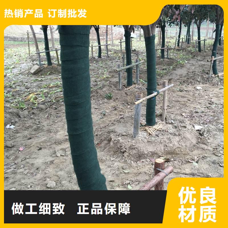 性价比高的裹树布生产厂家