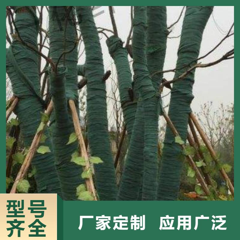 裹树布多种规格供您选择