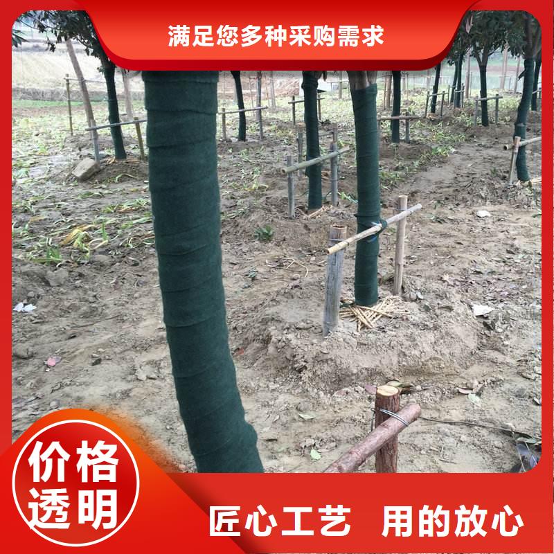 裹樹布廠家地址