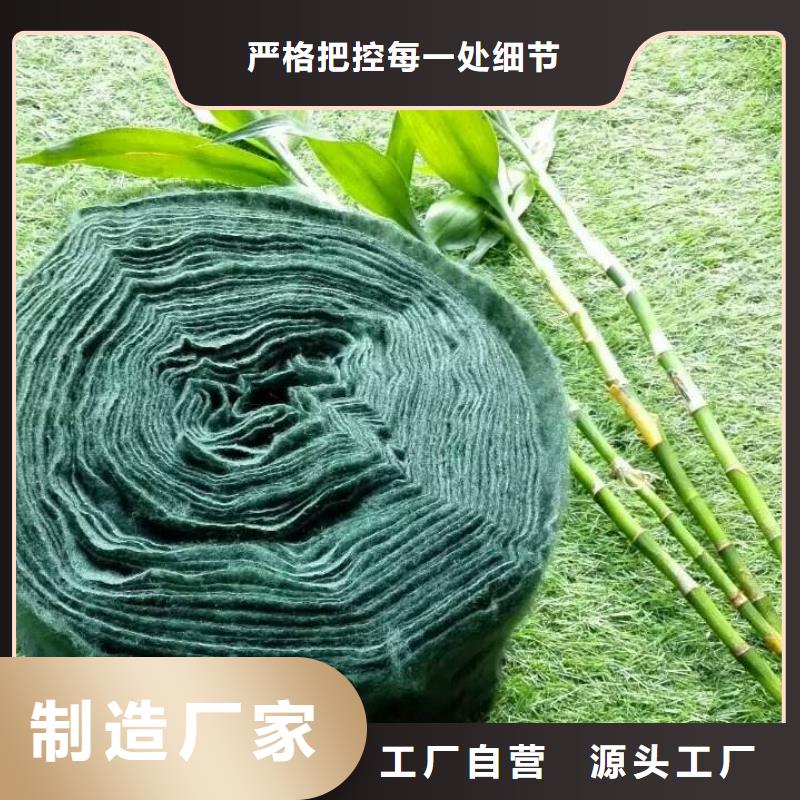 買(mǎi)的放心-裹樹(shù)布廠(chǎng)家