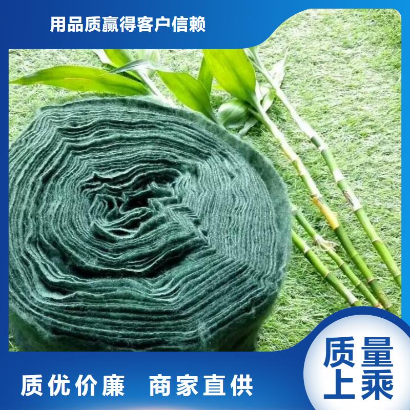 批發裹樹布_品牌廠家
