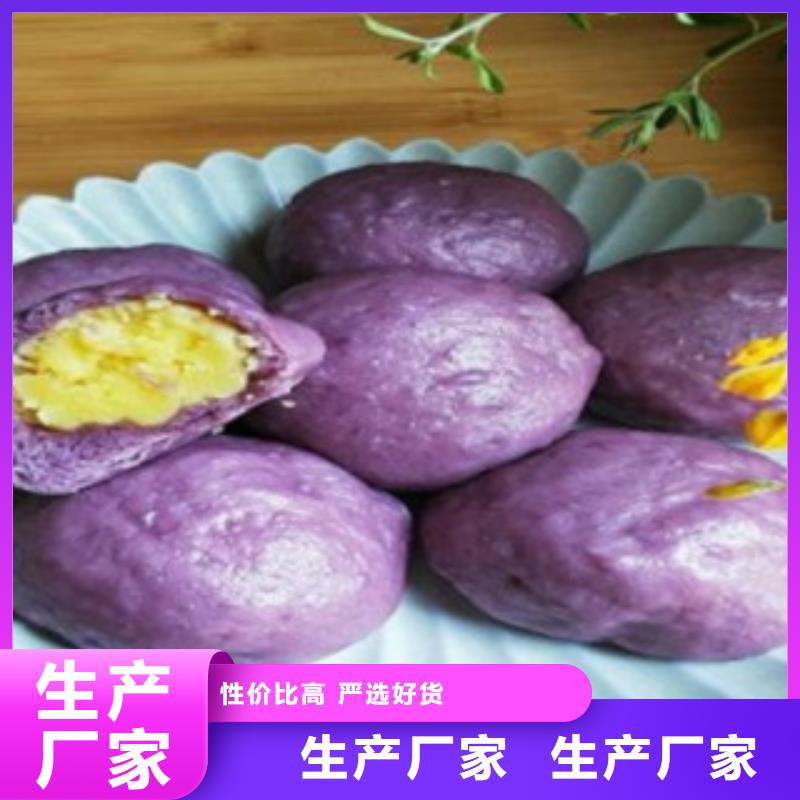 紫薯1定制費用