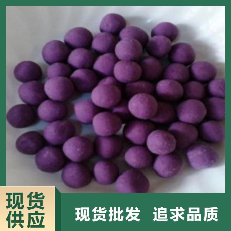 紫薯收購（東風八號）聯系方式
