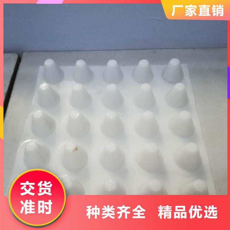 排水板實體廠家-放心選購