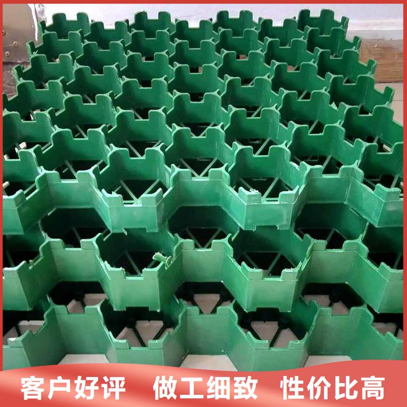 廠家批發植草格_植草格