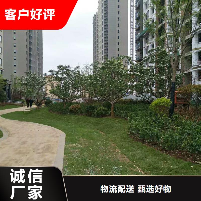 植草格大廠家售后無憂