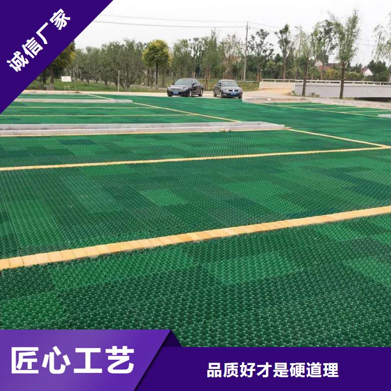 植草格、植草格廠家直銷-歡迎新老客戶來電咨詢