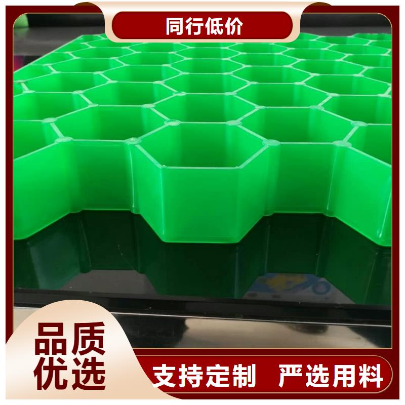 今日特價：婁星生態植草格==高韌性