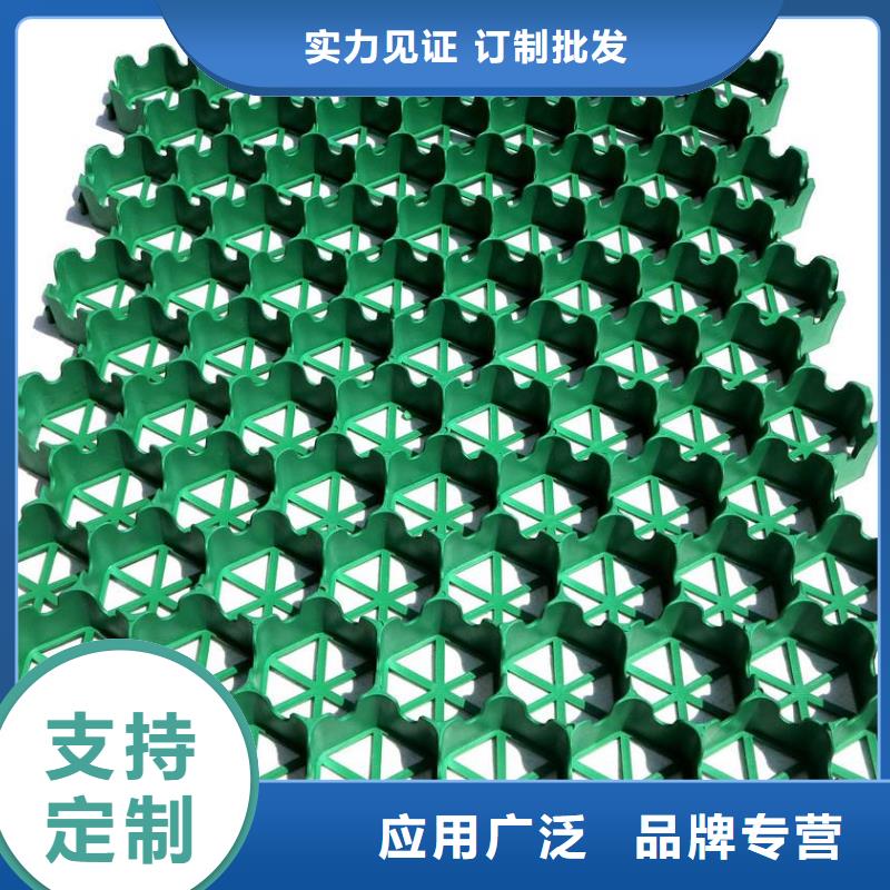 植草格-一家專業的廠家