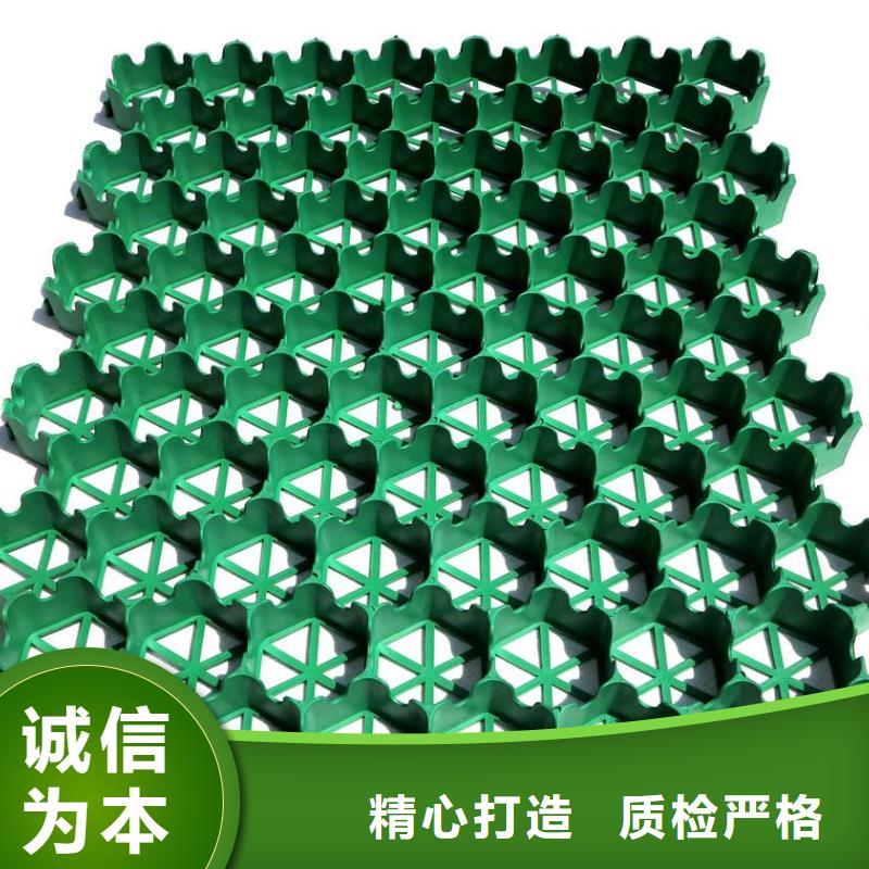 批發(fā)植草格的銷售廠家