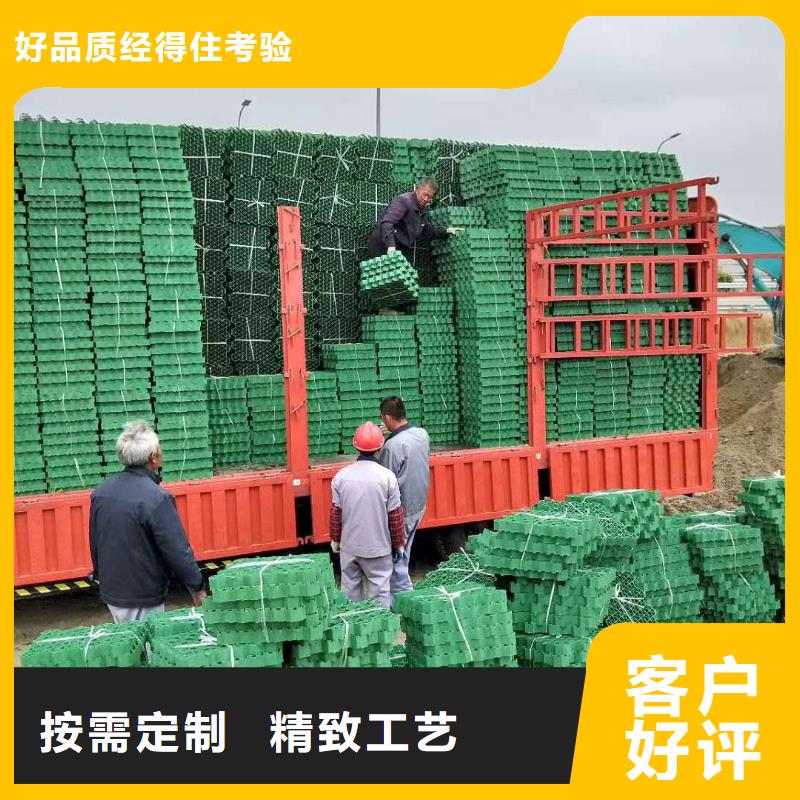 廠家批發植草格_植草格