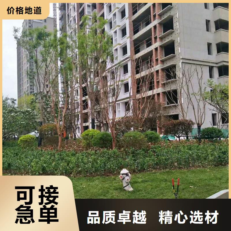 今日特價(jià)：漣源68厚植草格==綠化率高