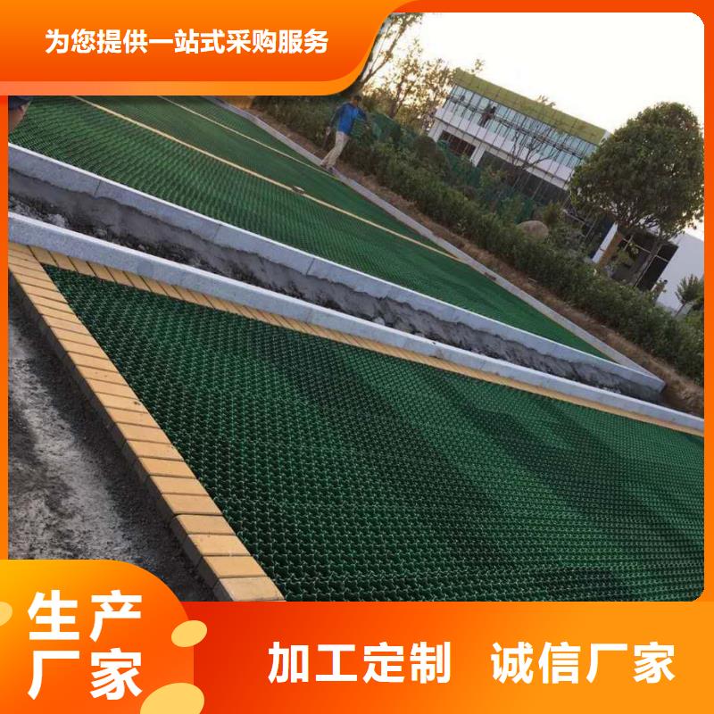 植草格正規實體廠家