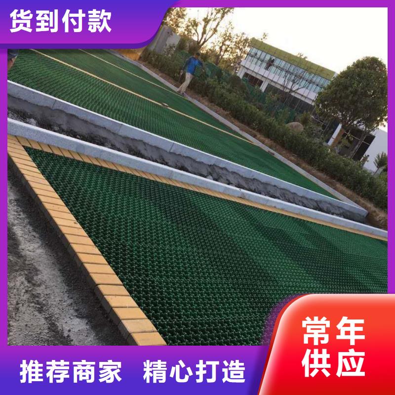 今日特價：新化植草植草格==熱銷產(chǎn)品