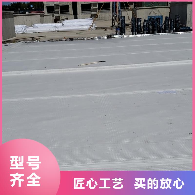 虹吸排水板实力厂家【当地】厂家