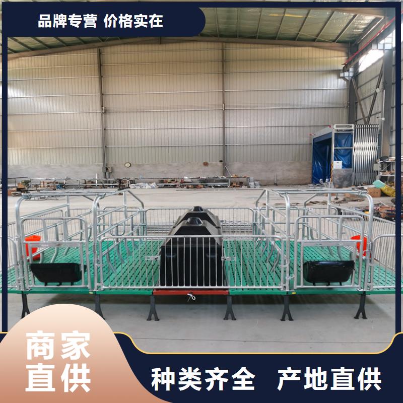 加重母豬定位欄加工生產(chǎn)