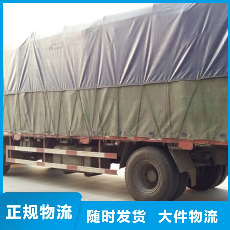 陽江d還是我們品質好