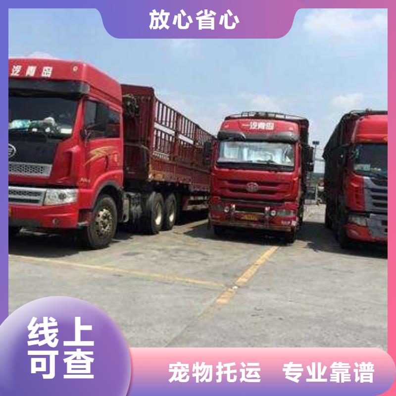 d货源充足