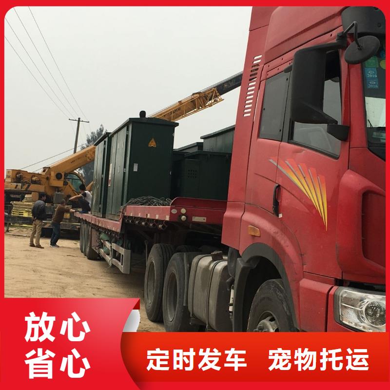 徐闻供应3的经销商