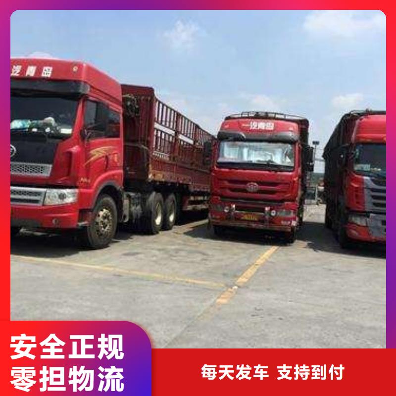 泰州5品牌保证