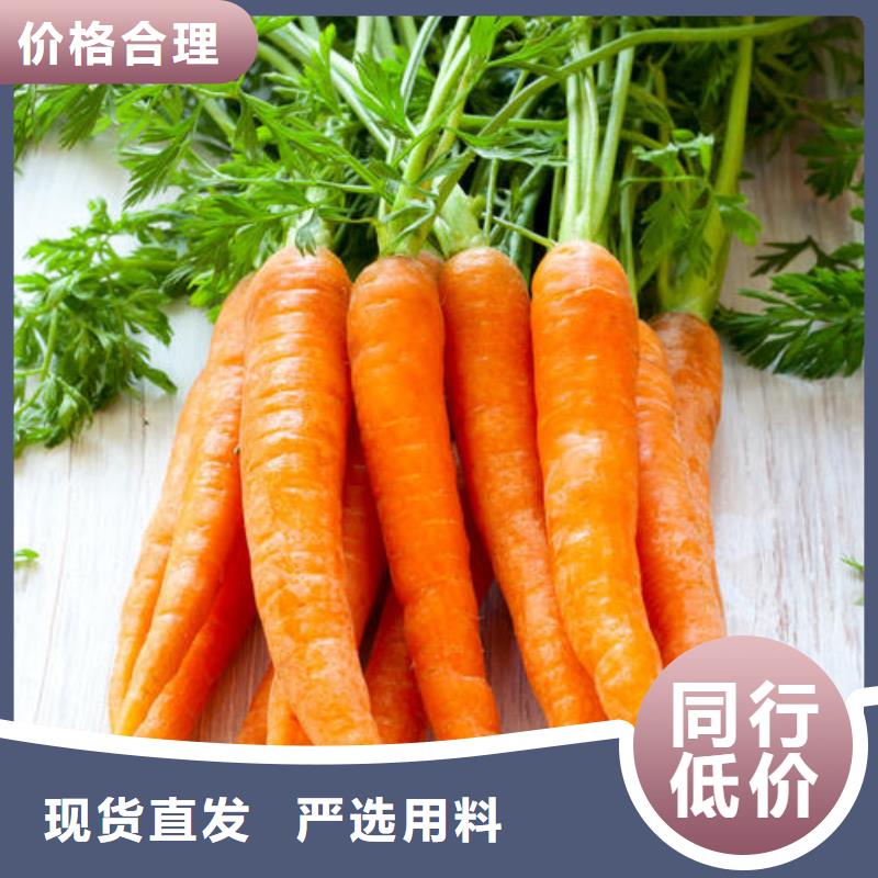 胡蘿卜粉直銷廠家