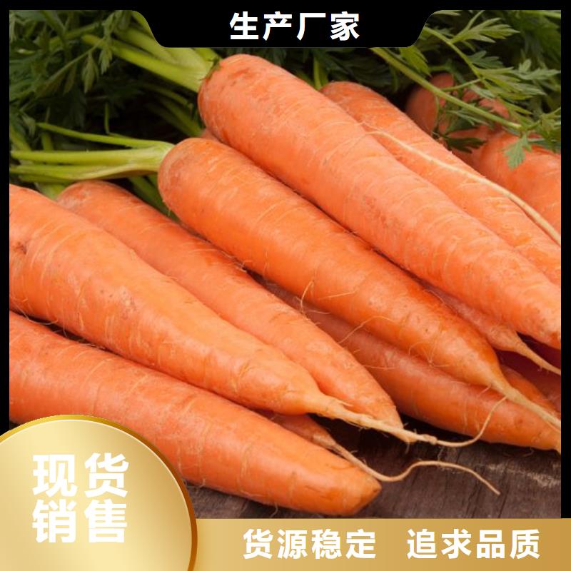 胡蘿卜粉批發零售