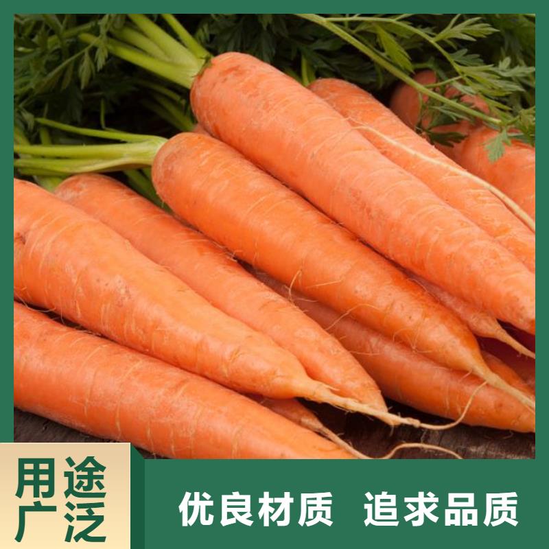 胡蘿卜粉批發(fā)零售