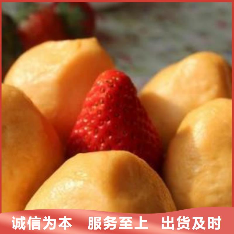 胡蘿卜粉現貨供應_規格全