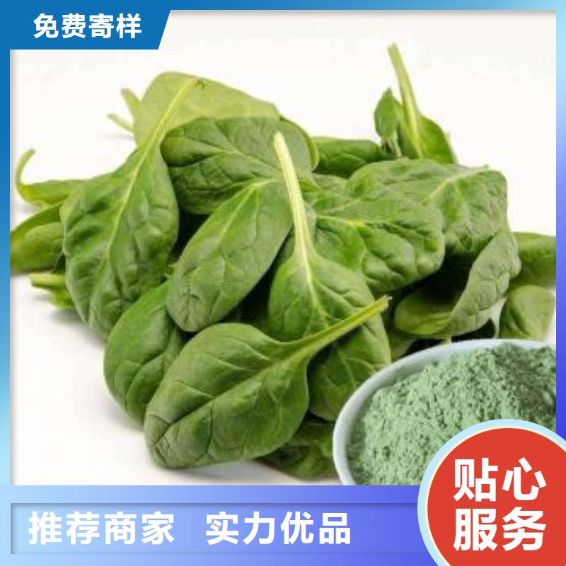 暢銷的菠菜粉生產廠家