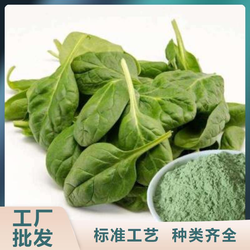 菠菜粉-精選廠家