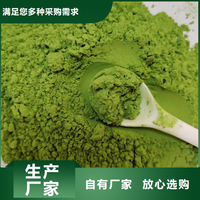 高质量菠菜粉供应商一手价格