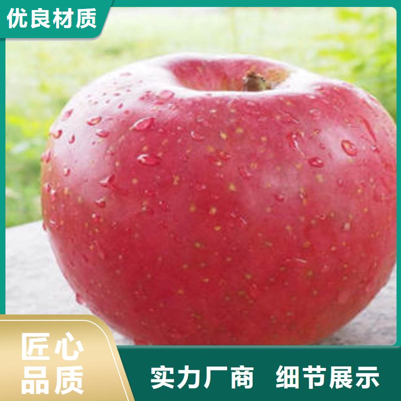 红富士苹果价格有优势