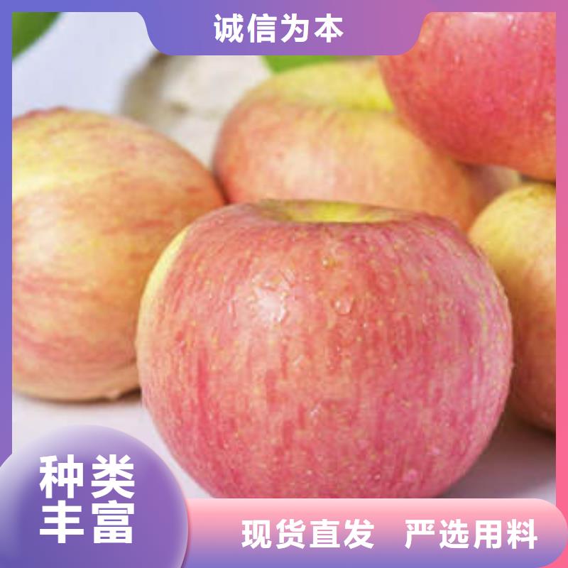 |虞城|夏邑|驻马店|平顶山|三门峡|开封|周口景才【红富士苹果】_嘎啦果型号全价格低