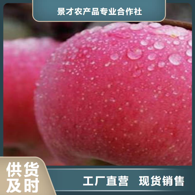 红富士苹果层层质检