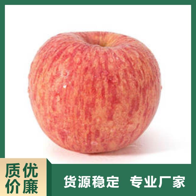 红富士苹果现货供应